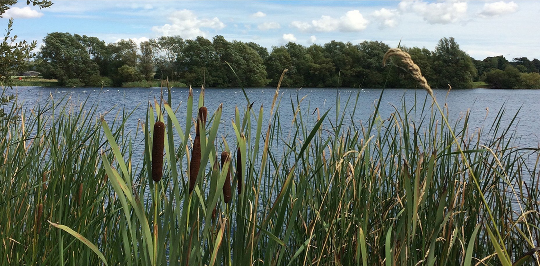 Help to Buy weekend at Conningbook Lakes, Ashford, this Saturday & Sunday.