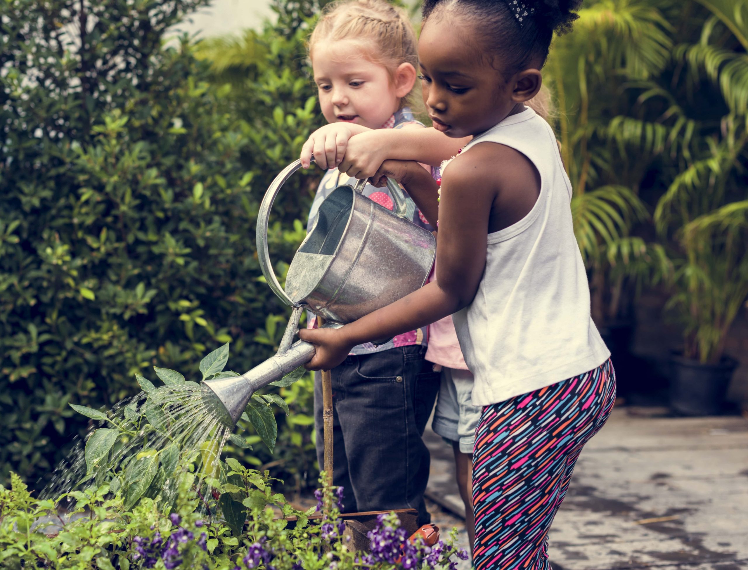 It’s National Gardening Week this week.